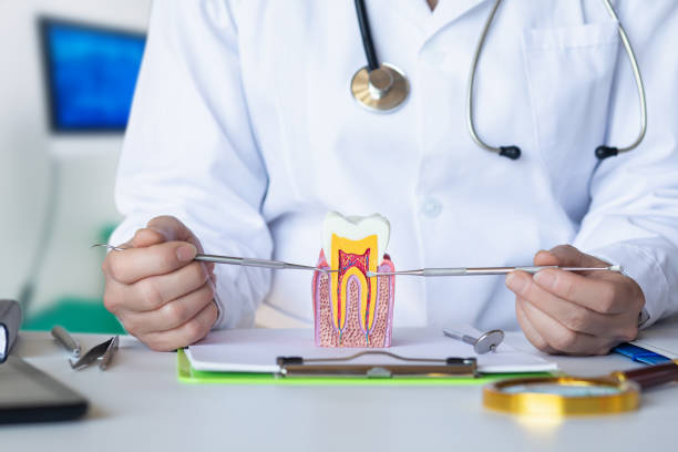 Best Emergency Root Canal Treatment in Tillamook, OR